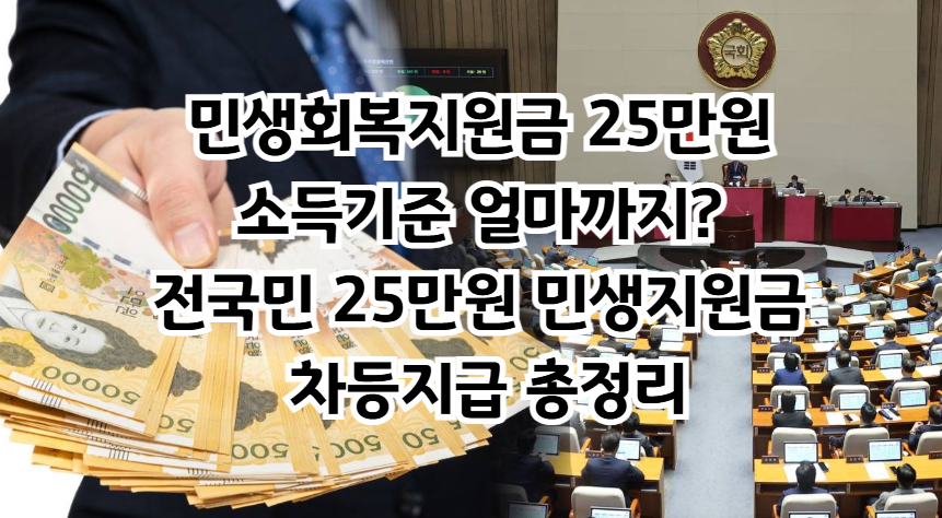 이재명 정부 추가경정예산과 민생회복지원금 완전 분석