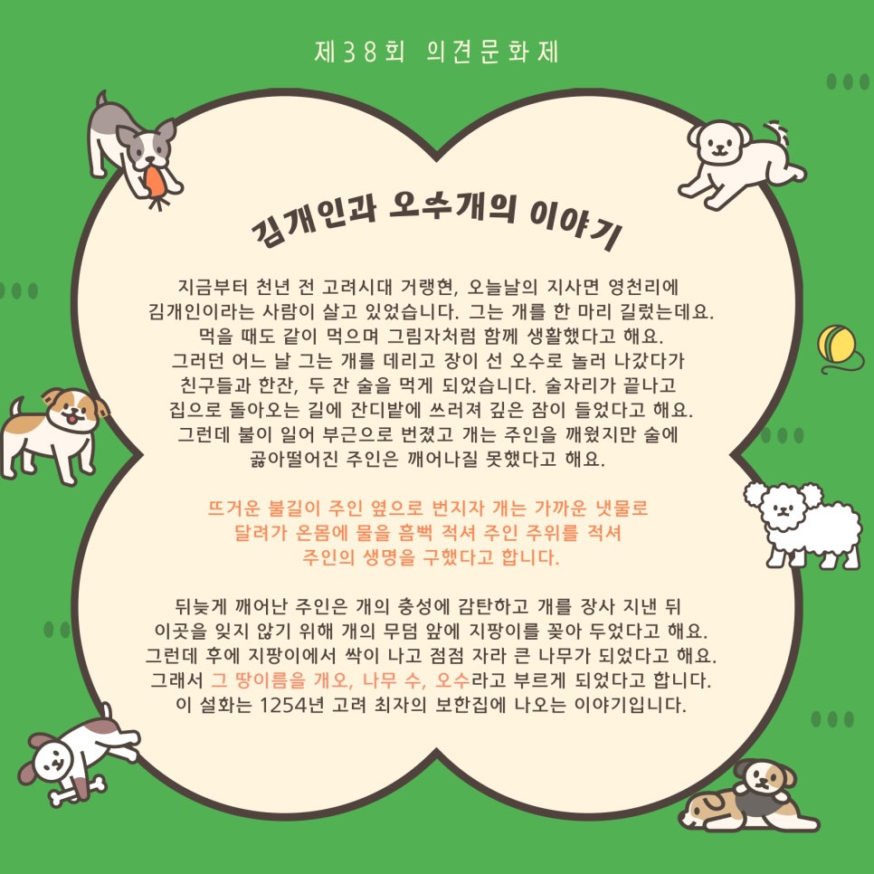 2024 제 39회 의견문화제와 함께하는 임실 N펫스타 특징 및 역사