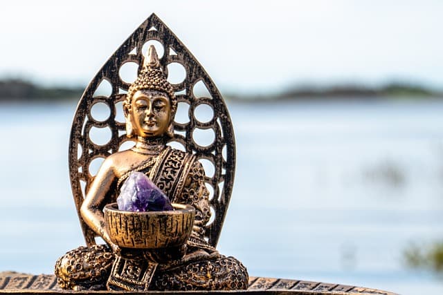 장 건강이 면역력의 핵심! 프로바이오틱스와 자연 치유