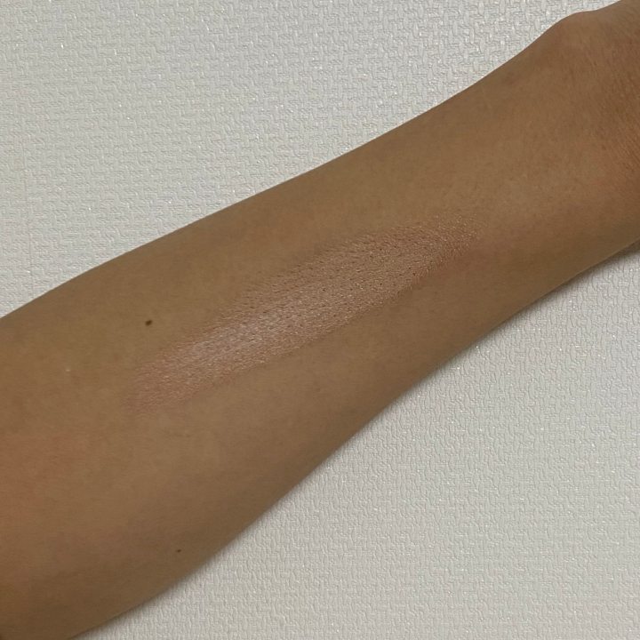 브러시-사용-전-사진