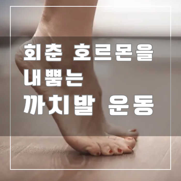 회춘 호르몬을 내뿜는 까치발 운동