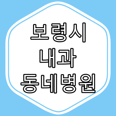 보령시 내과 전문의 진료 하는 동네 병원