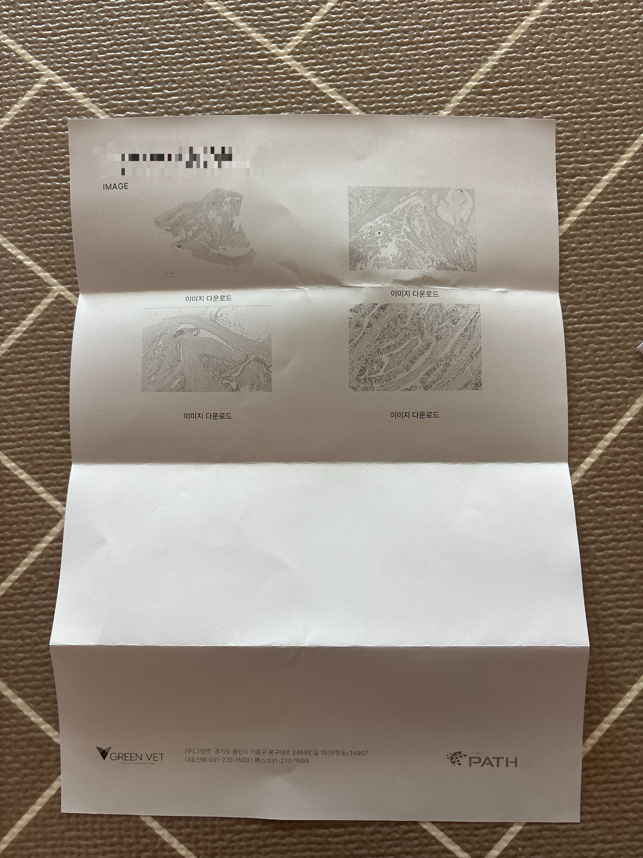 강아지 소장암