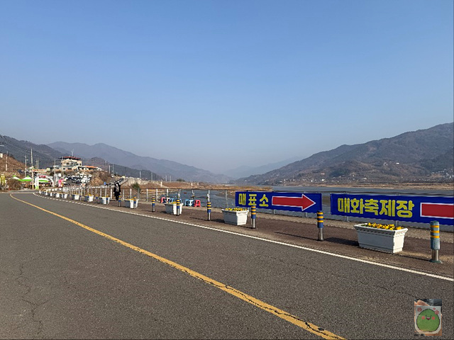 2025 광양매화축제 개화상황 주차장 실시간 입장료