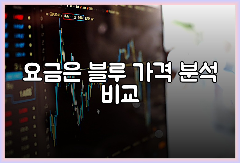 요금은 블루 가격 분석 비교