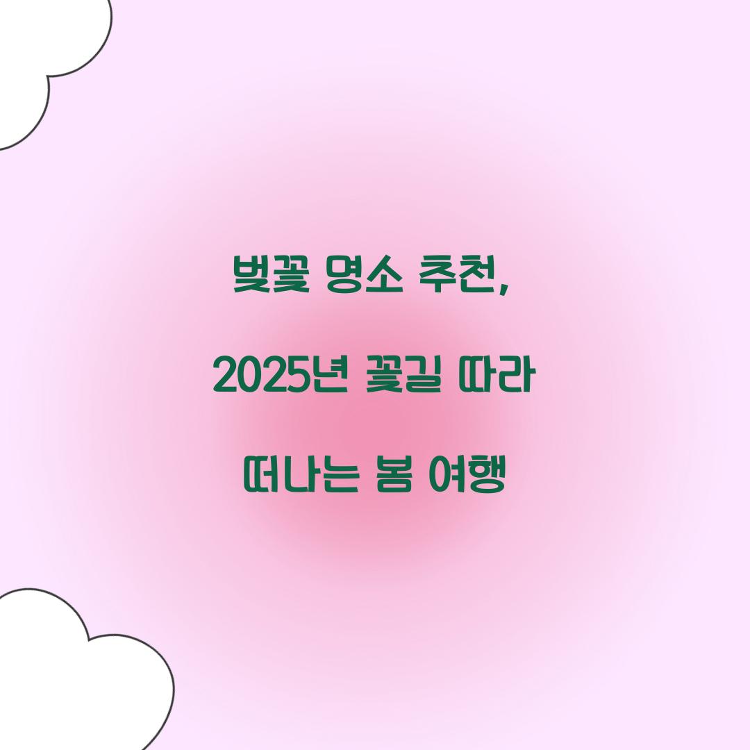 벚꽃 명소 추천