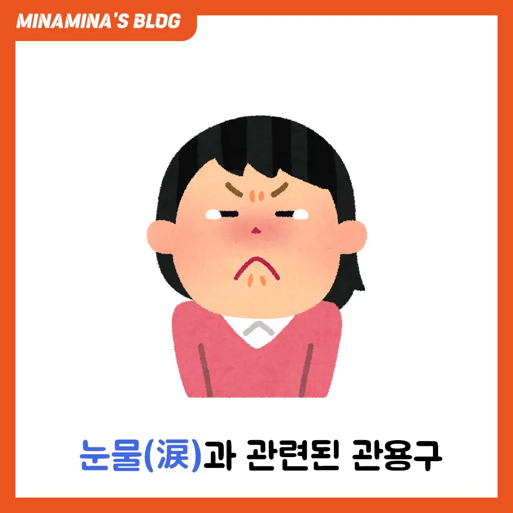 일본어 눈물 관용구 모음