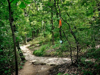 서울 둘레길 코스 정리 완벽가이드