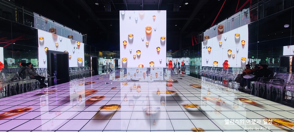 해운대 뮤지엄원 치유의기술, 부산 실내 가볼만한곳, 부산 전시 + 33% 할인예약방법