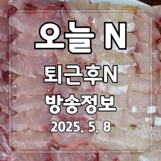 오늘 N 퇴근후 N
