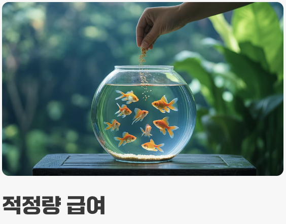 먹이 관리 - '천천히, 조금씩'이 핵심