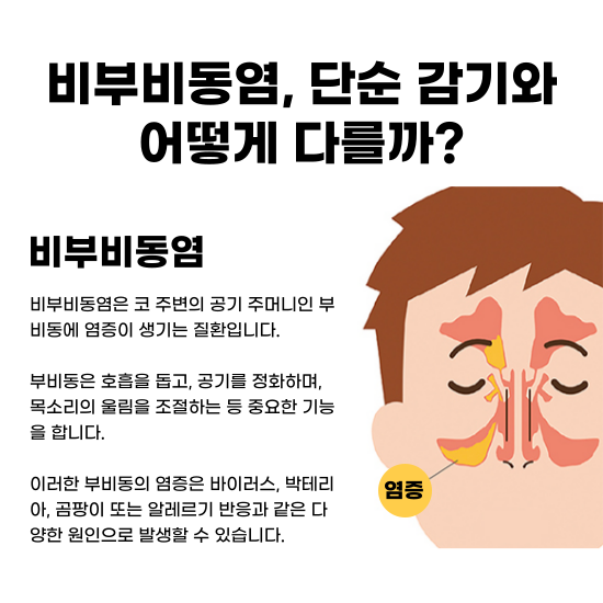 비부비동염