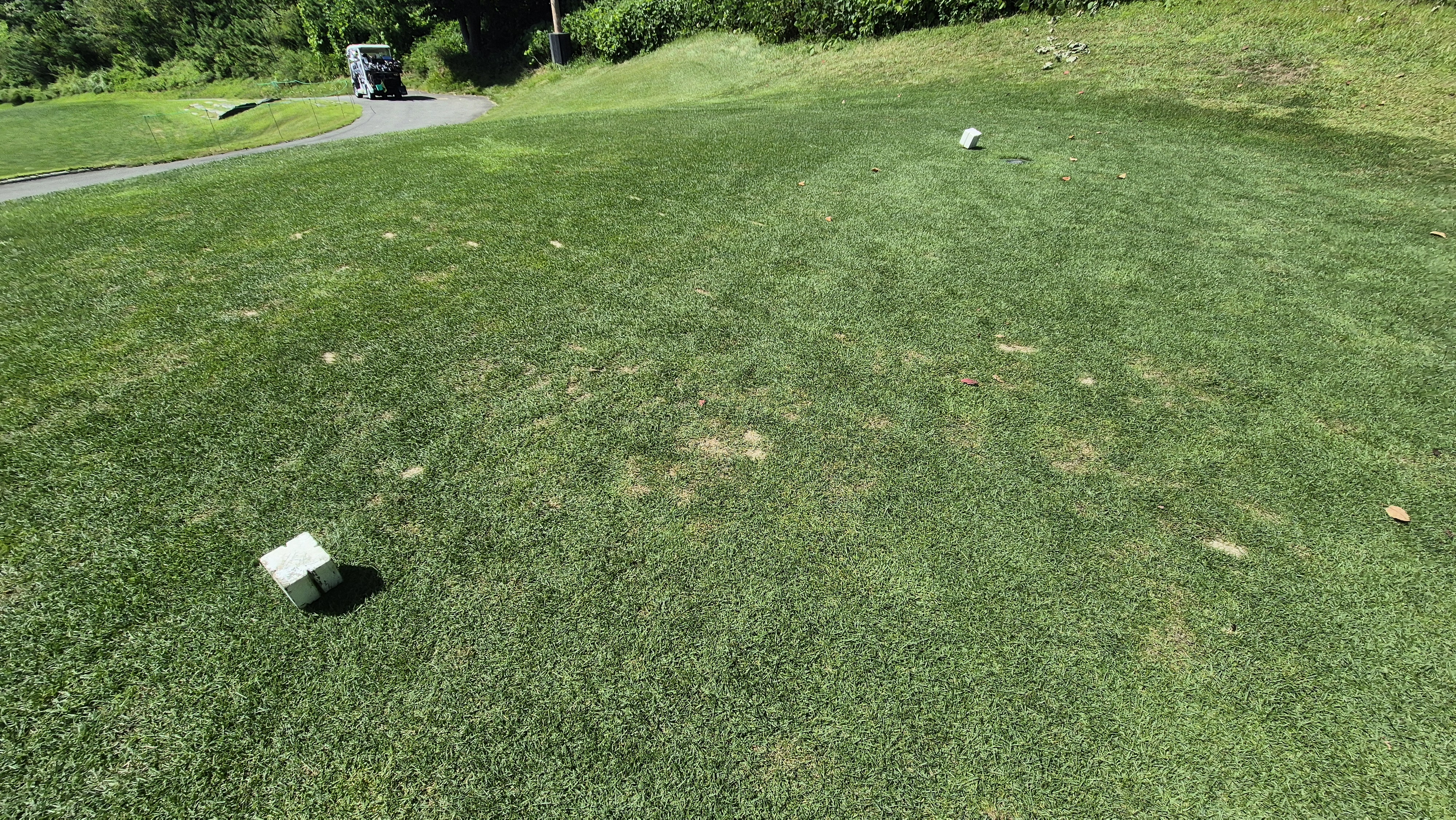 마론cc 라운드 후기