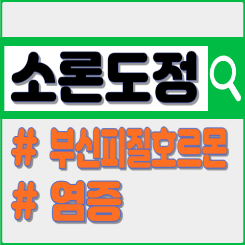 소론도정