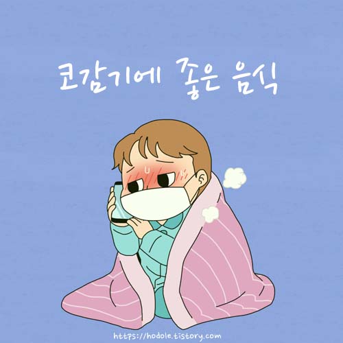 코감기에-좋은-음식