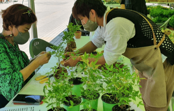 축제 가볼만한 곳