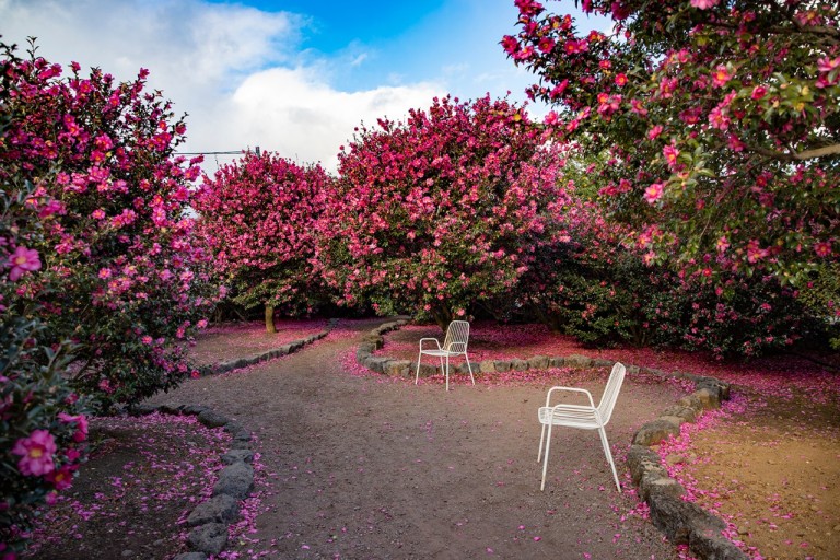 제주도 가볼 만한 곳 10곳