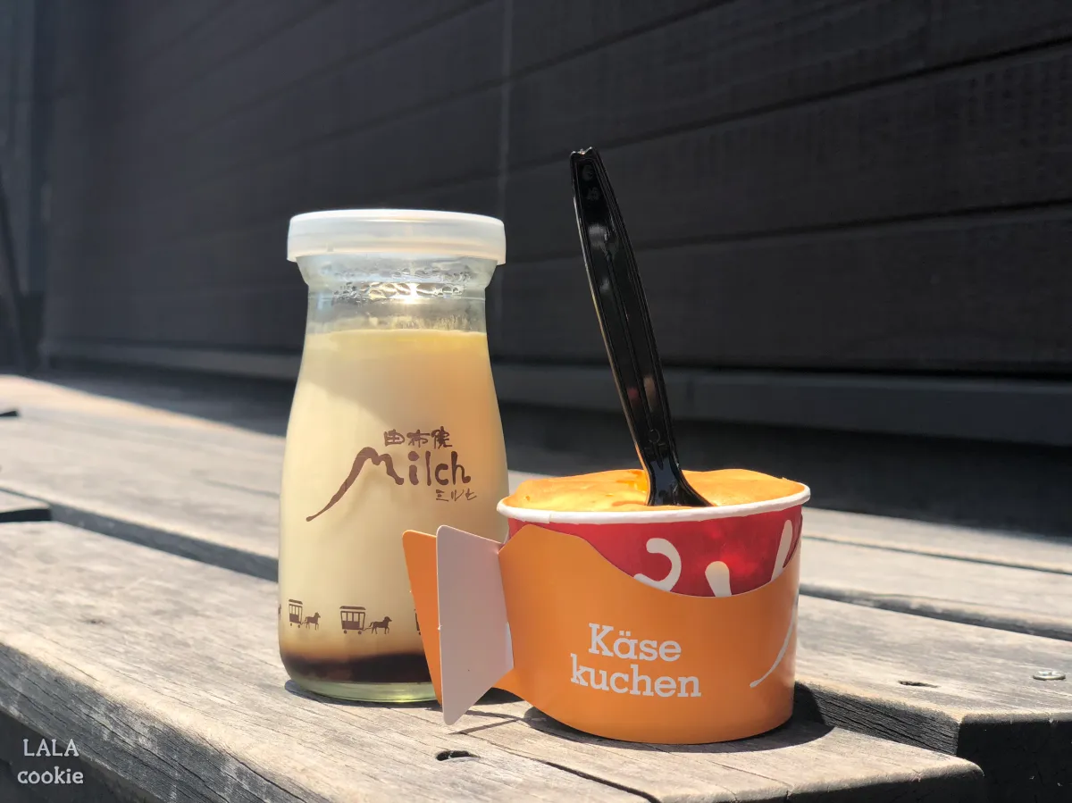 후쿠오카-유후인-디저트-맛집-추천-미르히-푸딩과-치즈케이크-야외-촬영