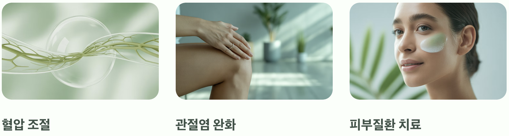약이 되는 고마운 나무