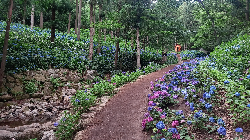 특색있고 아름다운 민간 정원 30선 추천 여행 - 21. 보성 성림정원