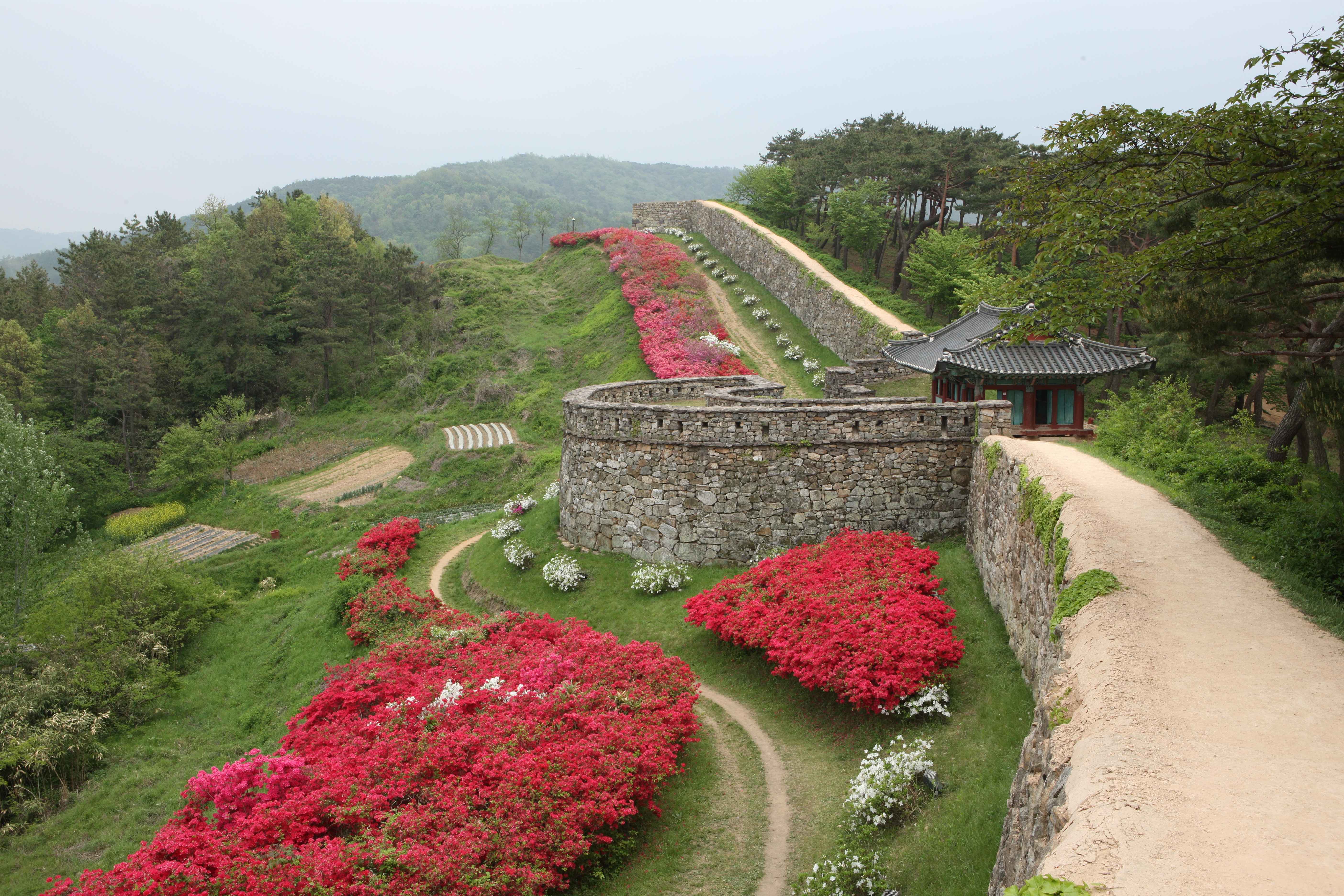 고창읍성 과 철쭉 사진