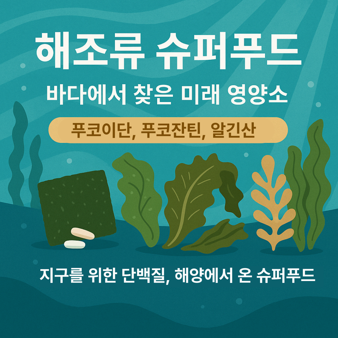 해조류 슈퍼푸드 제품 트렌드 (2025)