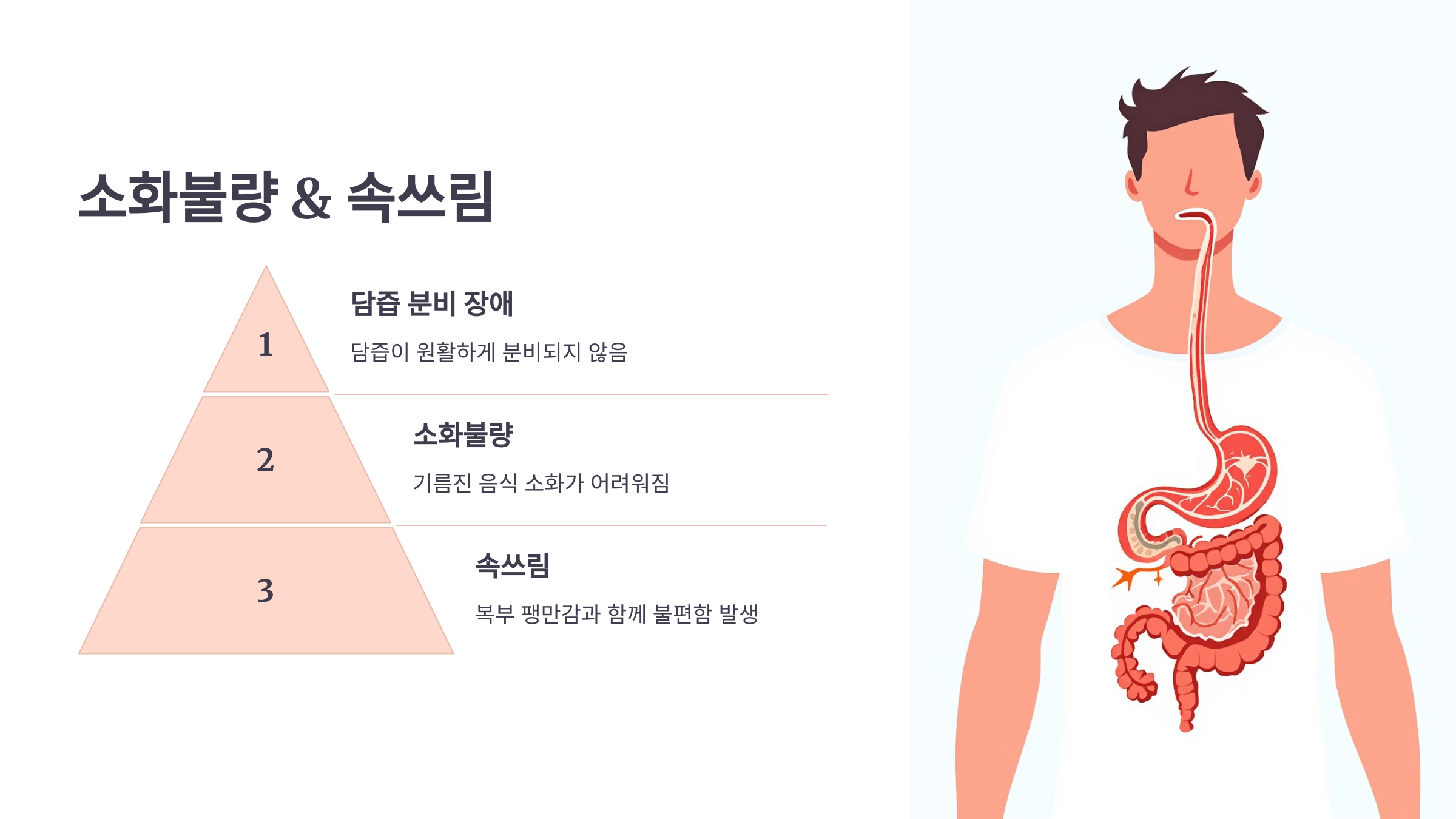 콜레스테롤과 관련된 사진입니다.