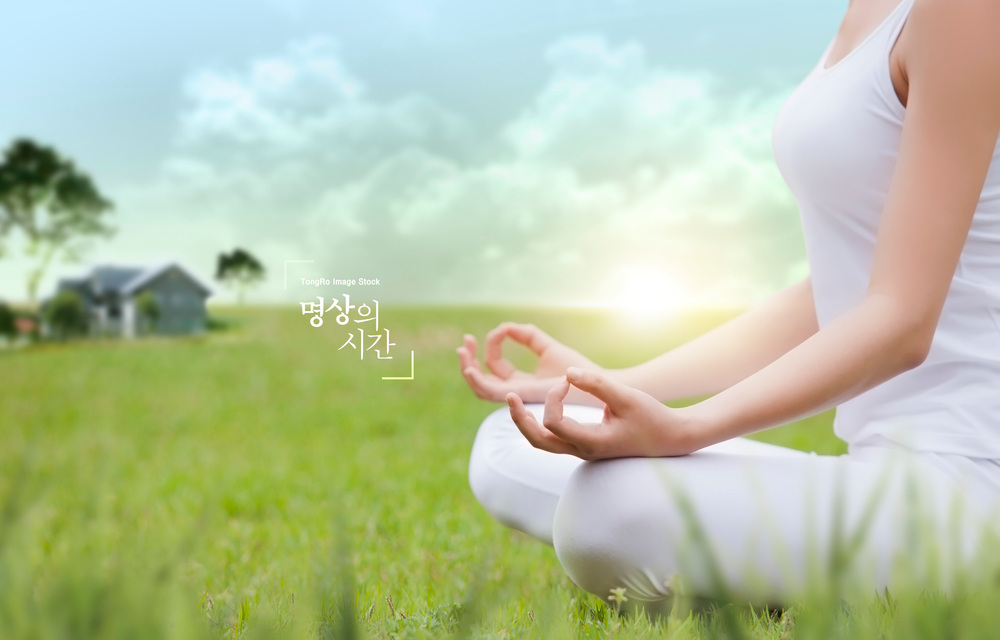 활성산소(ROS) 대응 메커니즘