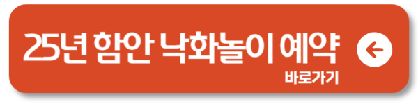 2025 함안 낙화놀이 예약 방법 총정리! 예매 절차부터 유의사항까지1