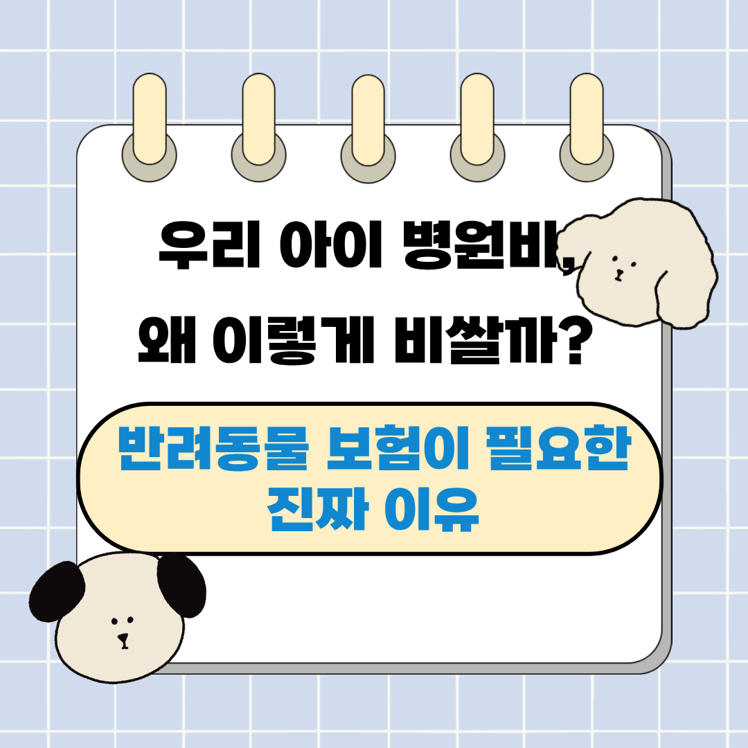 우리 아이 병원비, 왜 이렇게 비쌀까 반려동물 보험이 필요한 진짜 이유