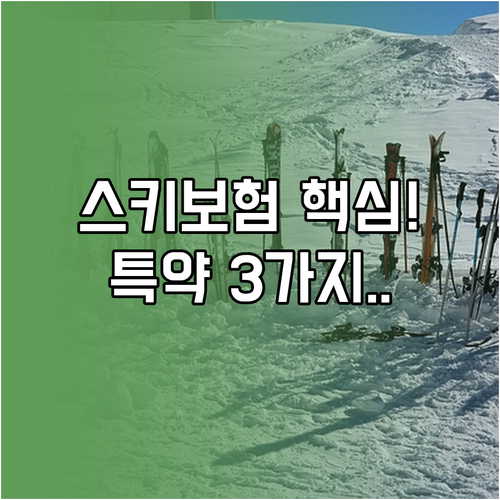 해외 스키 여행자보험 특약 가입 전 ..