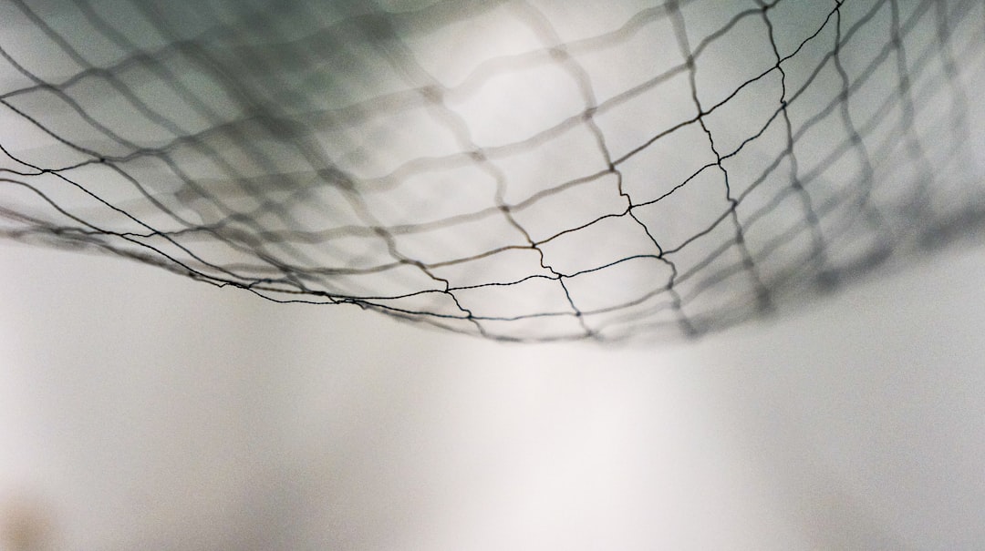 Net Assets