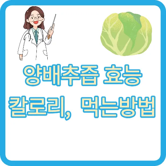 양배추즙 효능 칼로리 먹는방법