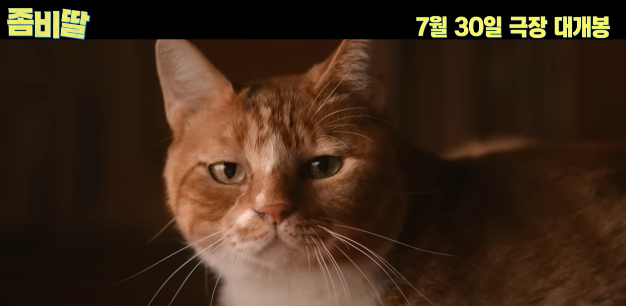 영화 좀비딸 귀여운 고양이