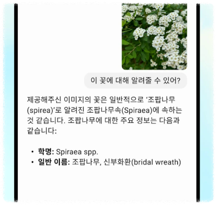 chatgpt 문제 발생 시 해결 방법 안내