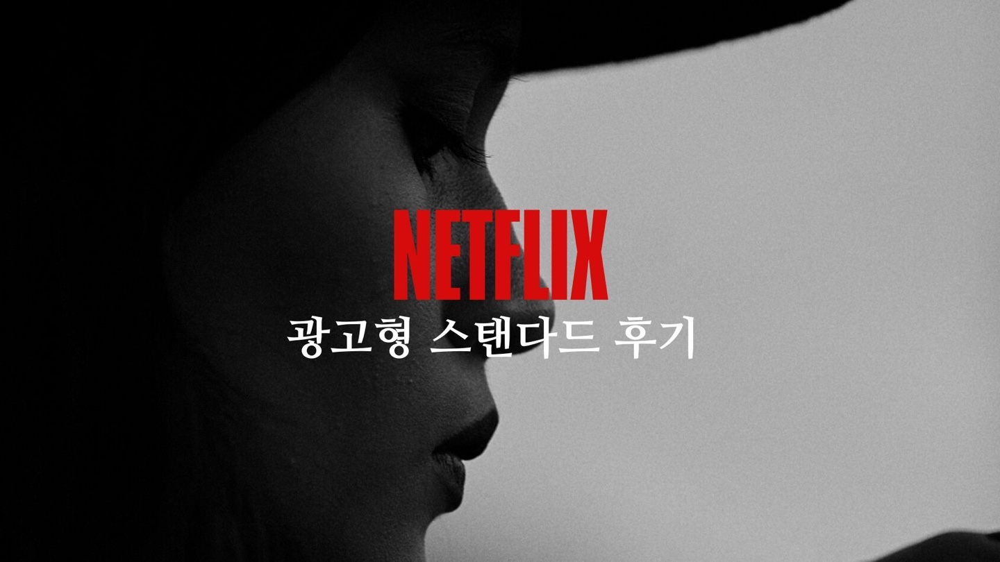 넷플릭스 광고형 스탠다드 후기