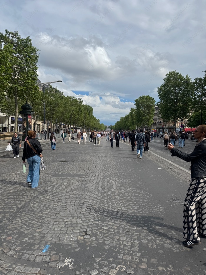 people walking on champs elysees avenue in paris