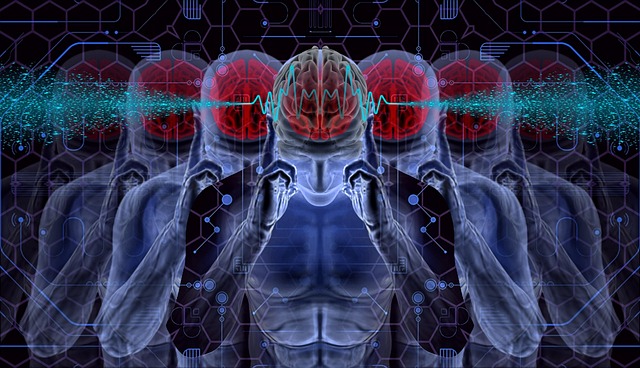 뇌파 관련 사진