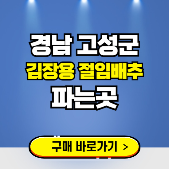 경남 고성군 절임배추 사전예약 구입하는곳 ❘ 김장배추 파는곳 가격보기