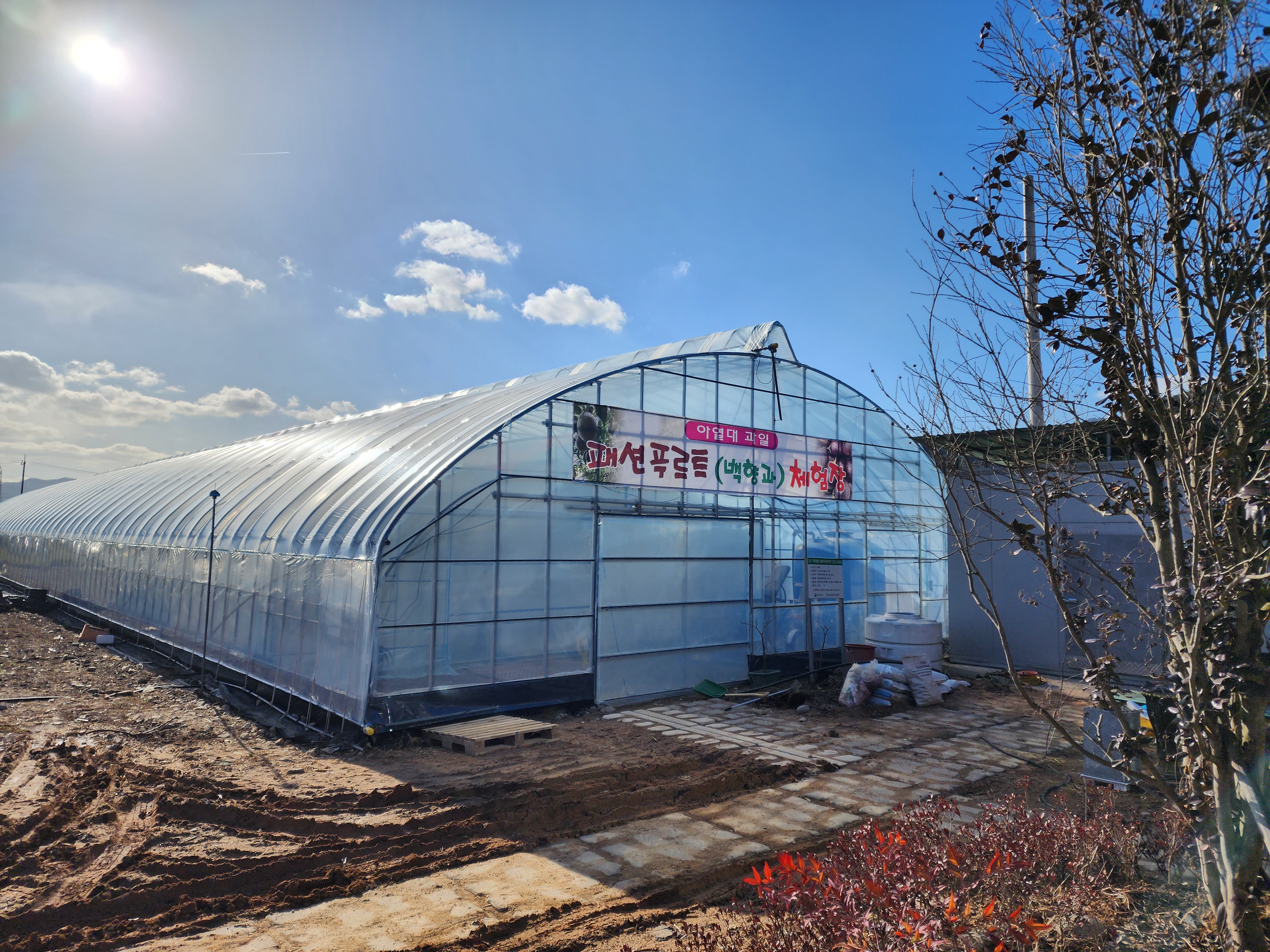 카페아따 백향과 체험장