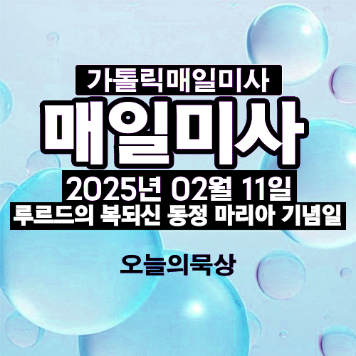 2025년 2월 11일 매일미사 루르드의 복되신 동정 마리아 기념일 오늘의 묵상