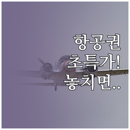 연말 항공권 초특가 놓치지 않는 알림..