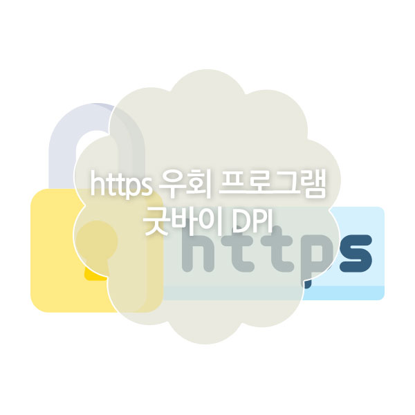https 우회 프로그램 굿바이 DPI