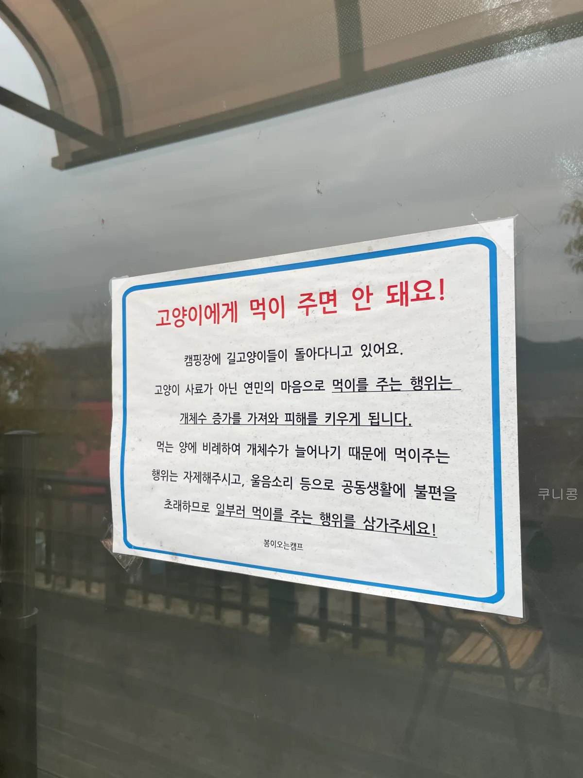 경기도-시설좋은-캠핑장-추천-봄이오는캠프-성인4명-이용후기