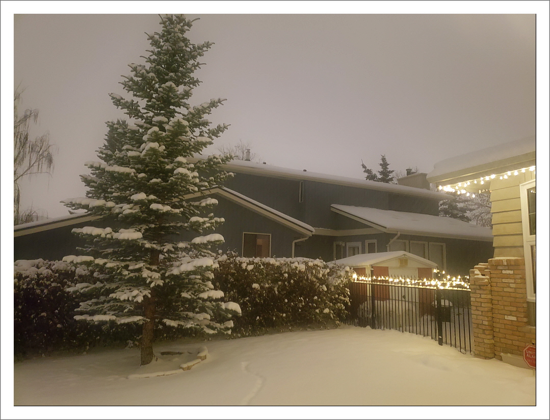 눈으로 덮인 마당 한가운데 키 큰 전나무가 서 있고, 배경에는 어두운 회색 주택이 보인다. 오른쪽에는 크리스마스 조명이 켜진 담장과 처마가 따뜻한 빛을 더하고 있다. 온 세상이 눈으로 덮인 고요한 겨울 저녁 풍경.