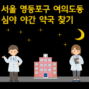 서울 영등포구 여의도동 심야 야간 24시 약국 찾기