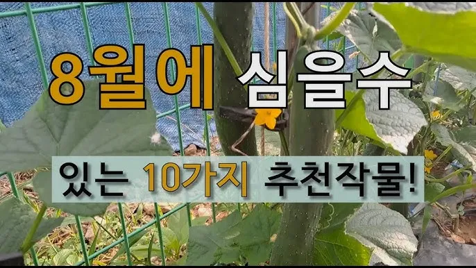 &amp;quot;8월에