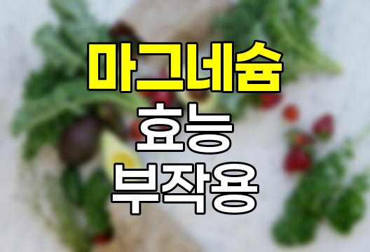 마그네슘 효능, 부작용, 부족 증상 및 하루 권장량 총정리