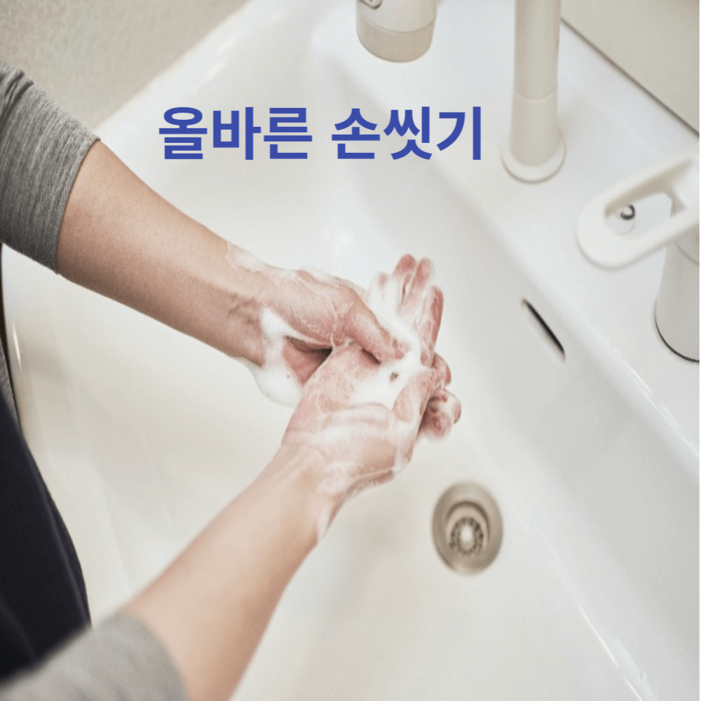 식중독 예방 손씻기