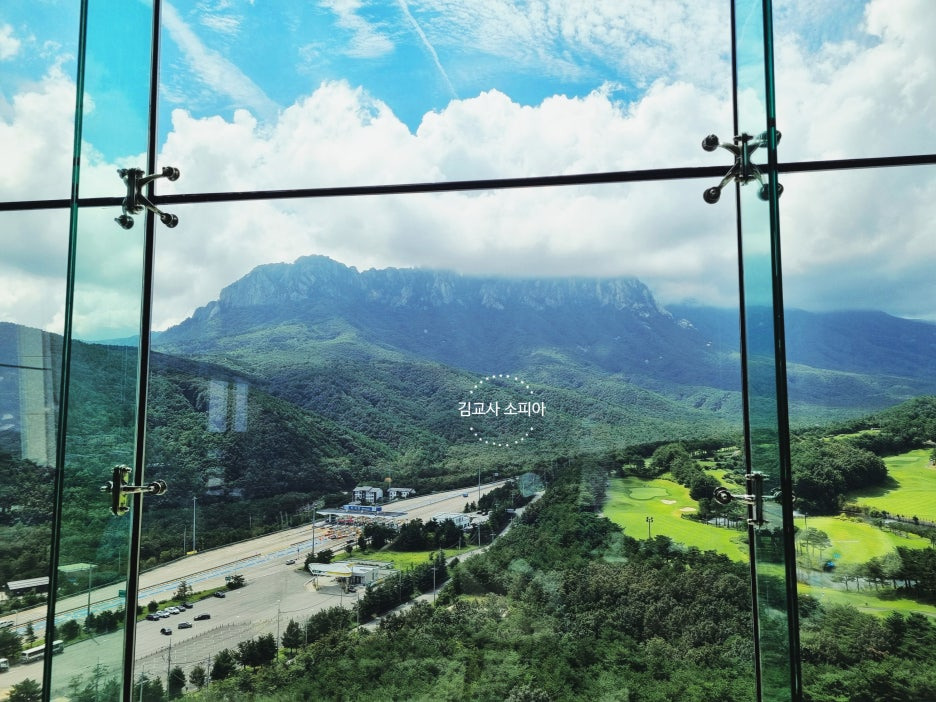 🌲 속초 울산바위 카페 ‘더 엠브로시아’ 방문 후기 ❘ 솔방울 라떼와 초코무스 맛집[내돈내산 후기]